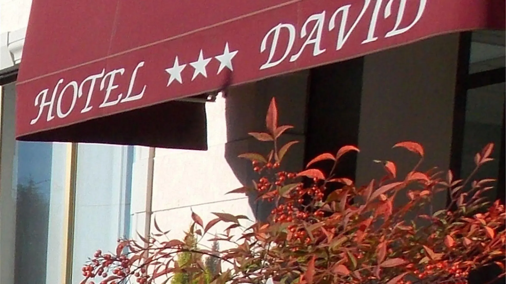 Hotel David Sesto Calende